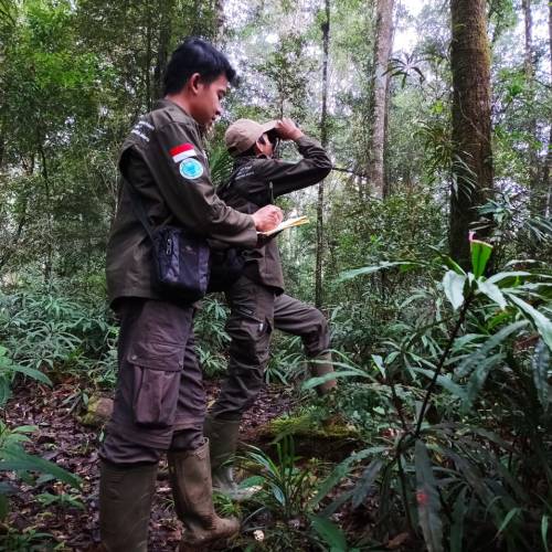 Perjalanan Menjelajah Habitat sang “Pahlawan Hutan” Owa Jawa