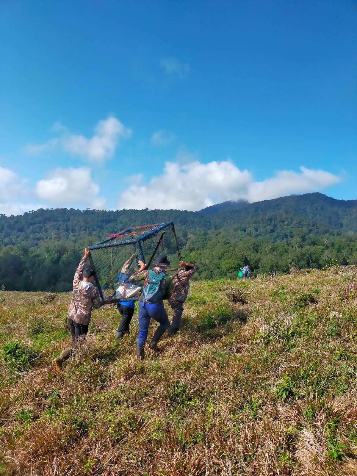 Melepasliarkan Ragil di hutan blok Citalahab – Resort Cikaniki, Taman Nasional Gunung Halimun Salak