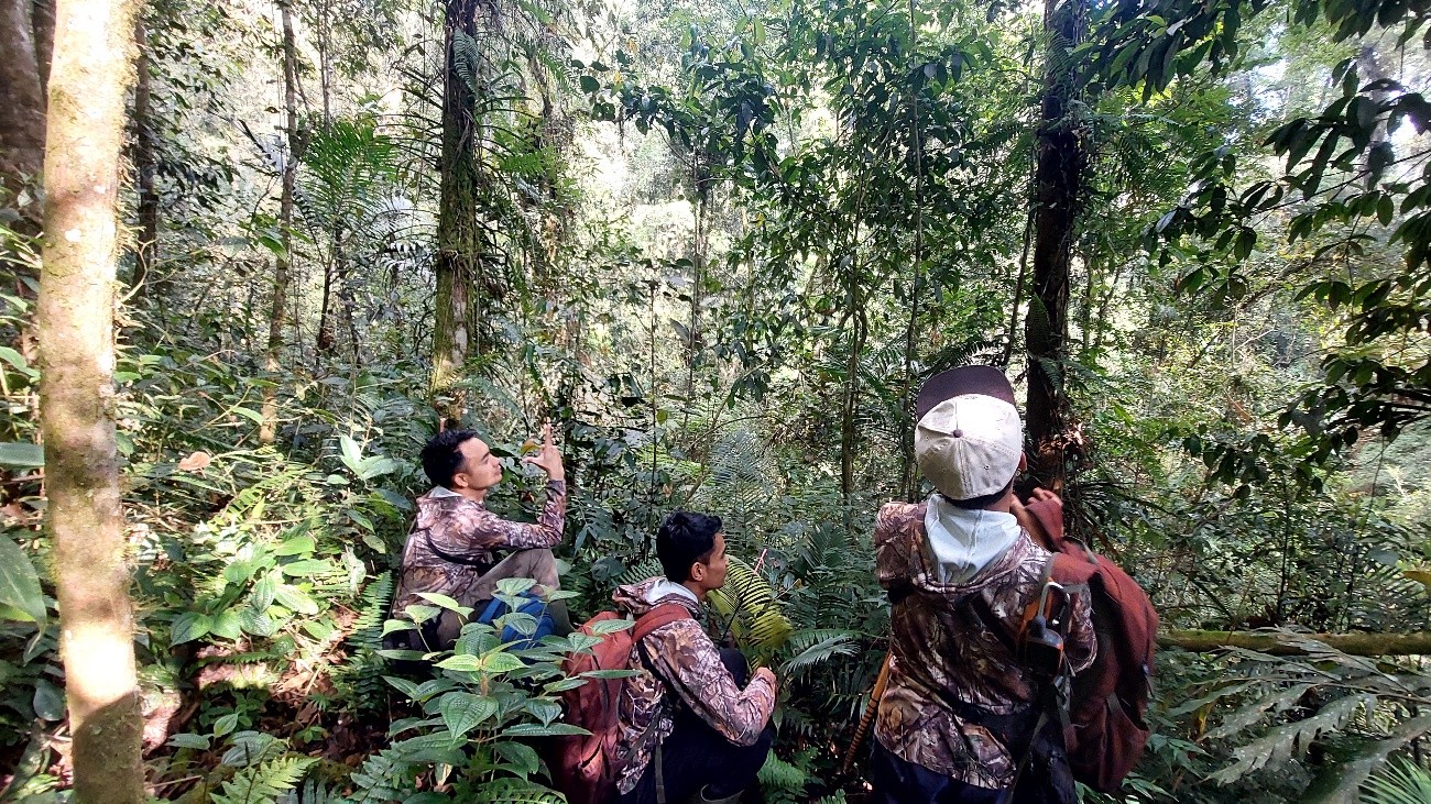 Sepetik Kisah dari Sudut Hutan Hujan Tropis Terbesar di Pulau Jawa