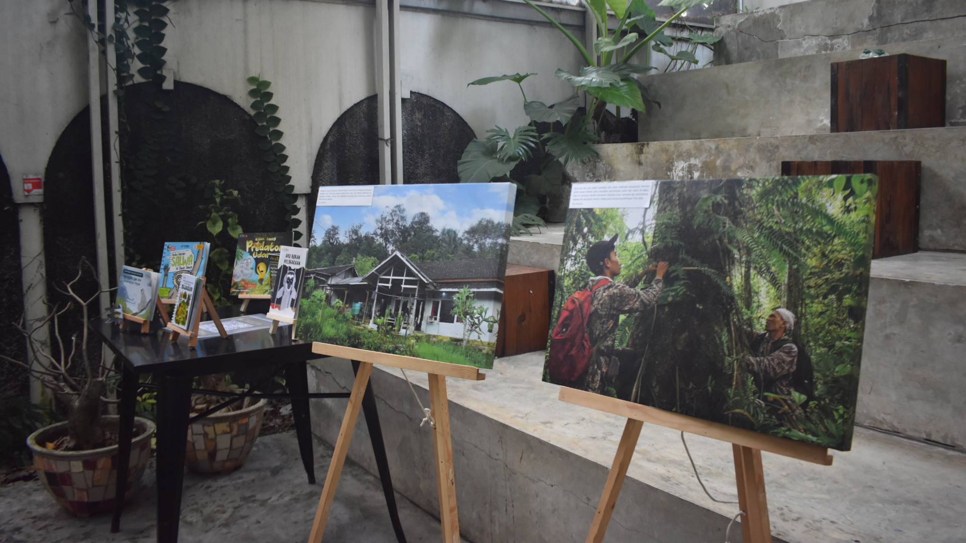 Dari Hutan Ke Halaman Buku: Jejak Monitoring Jangka Panjang Owa Jawa